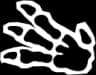 Fossil symbol